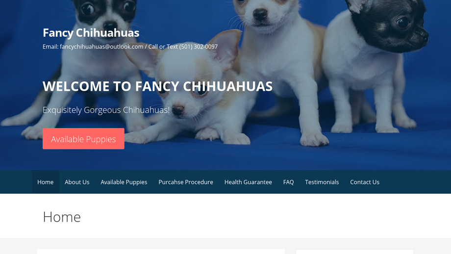 Fancychihuahuas.com - Chihuahua Puppy Scam Review