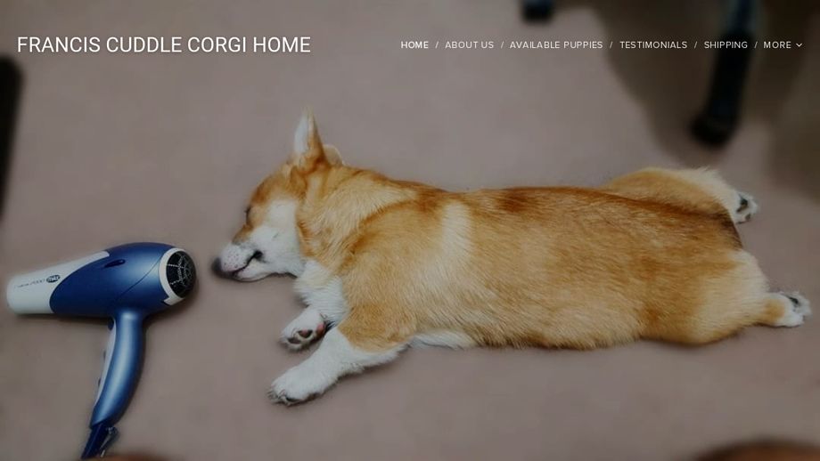 Franciscorgipups.com - Corgi Puppy Scam Review