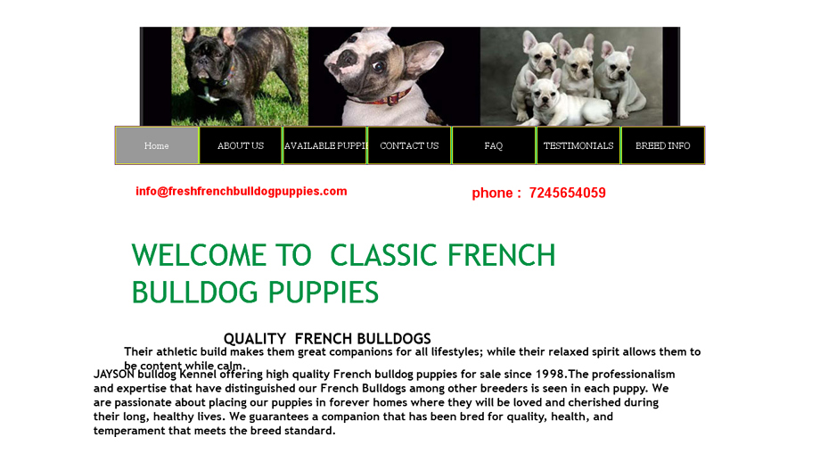 Freshfrenchbulldogpuppies.com - French Bulldog Puppy Scam Review