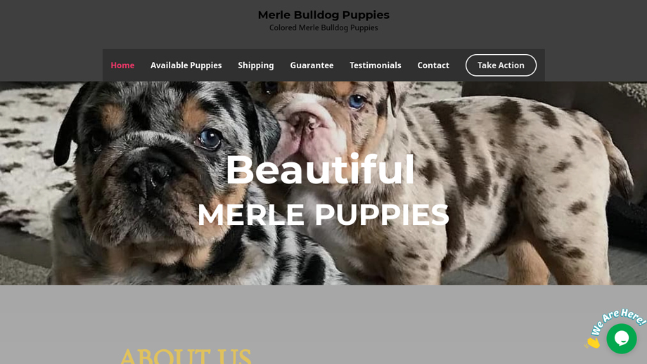 Friendsnpet.com - Bulldog Puppy Scam Review