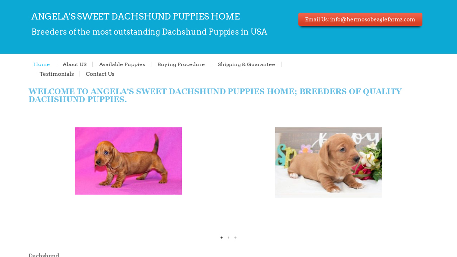 Hermosobeaglefarmz.com - Beagle Puppy Scam Review