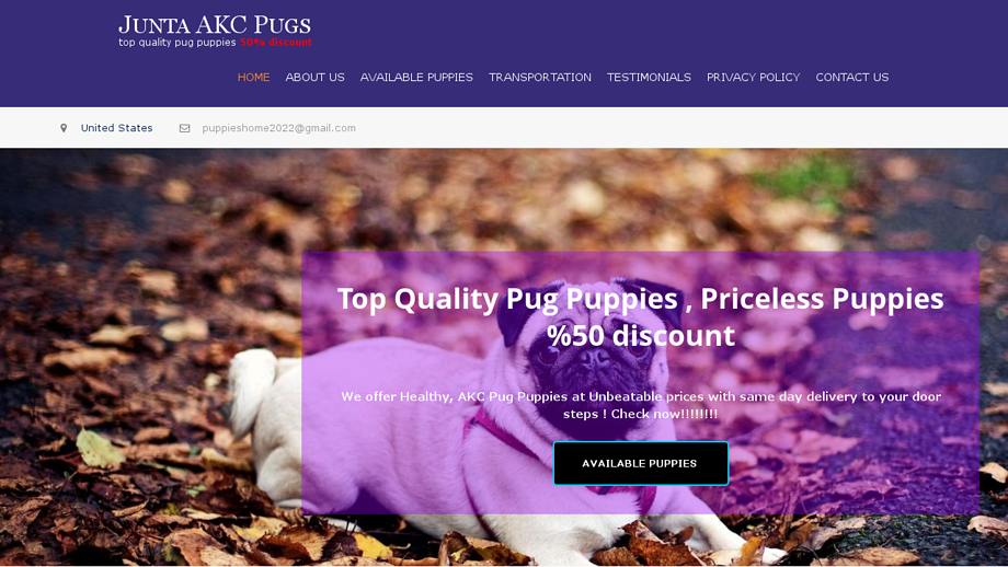 Juntaakcpugugs.com - Pug Puppy Scam Review