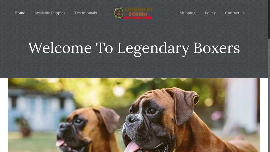 Legendaryboxers.us - Boxer Puppy Scam Review