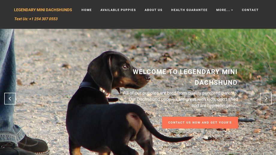 Legendaryminidachshunds.com - Dachshund Puppy Scam Review