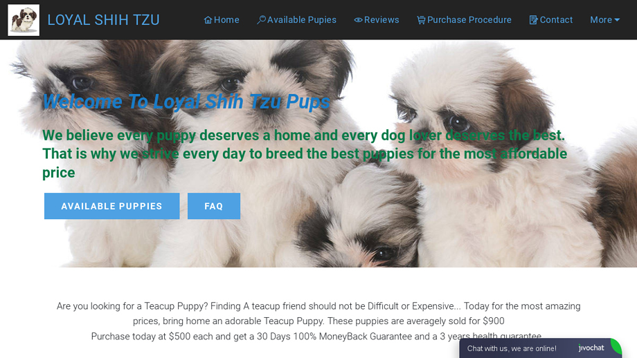 Loyalshihtzupuppies.com - Shihtzu Puppy Scam Review