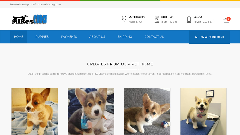 Mikeswelshcorgi.com - Corgi Puppy Scam Review