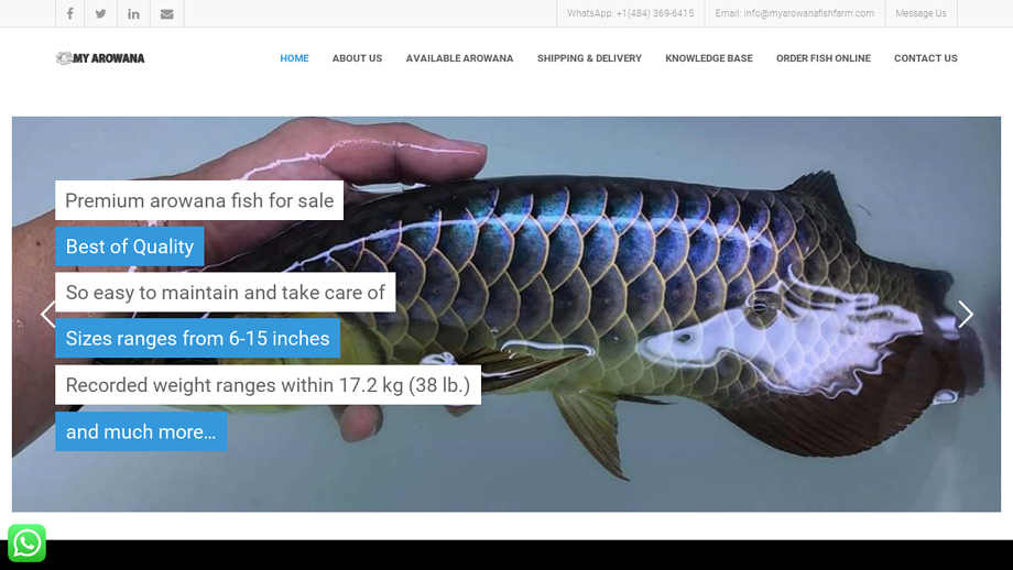 Myarowanafishfarm.com - Arowana Puppy Scam Review