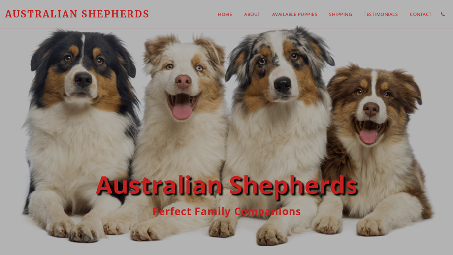 Myaussiepuppies.com - Australian Shepherd Puppy Scam Review