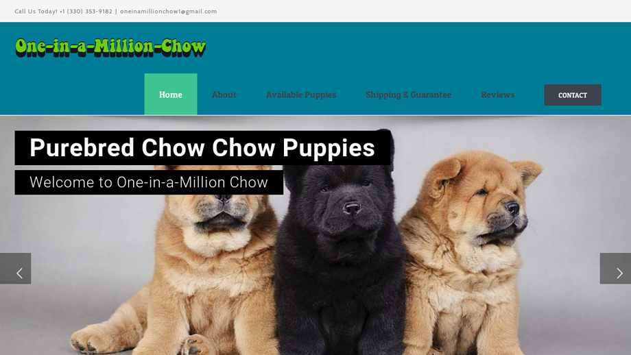 Oneinamillionchow.com - Chowchow Puppy Scam Review