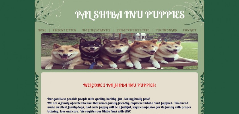 Review Of Palshibainupuppiescom Puppyscamcom