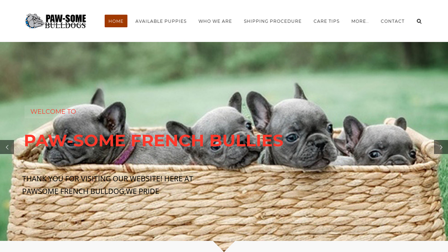 Pawsomefrenchbulldogs.com - French Bulldog Puppy Scam Review