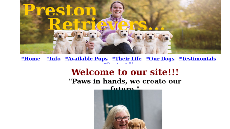 Preston-retrievers.com - Golden Retriever Puppy Scam Review