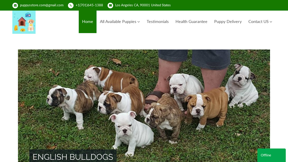 Puppysstore.com - English Bulldog Puppy Scam Review