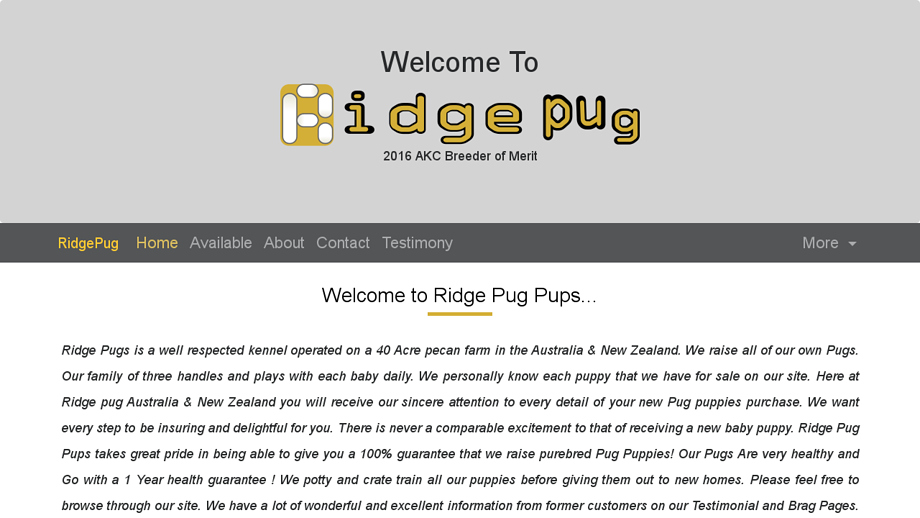 Ridgepugpups.com - Pug Puppy Scam Review