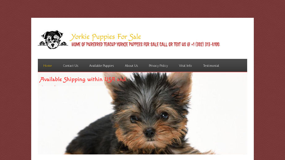 Roseteacuphome.com - Yorkshire Terrier Puppy Scam Review