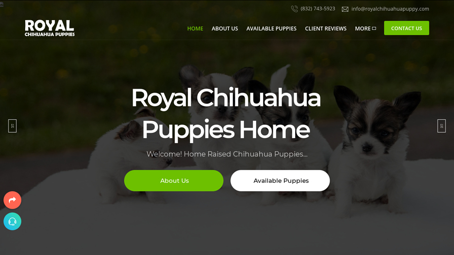 Royalchihuahuapuppy.com - Chihuahua Puppy Scam Review