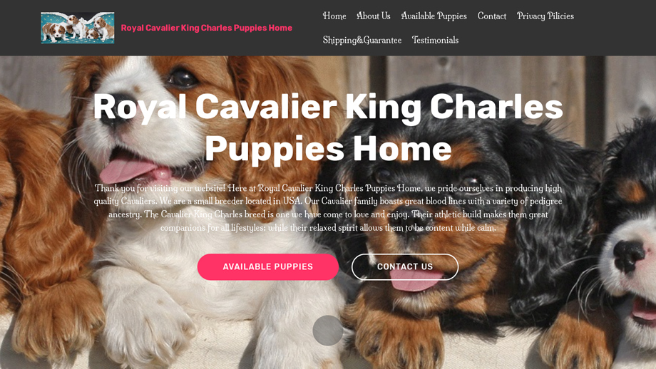 Royalkingcharleshome.com - Cavalier King Charles Spaniel Puppy Scam Review