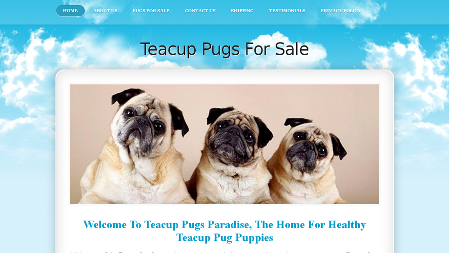 Sallyteacuppugs.com - Pug Puppy Scam Review