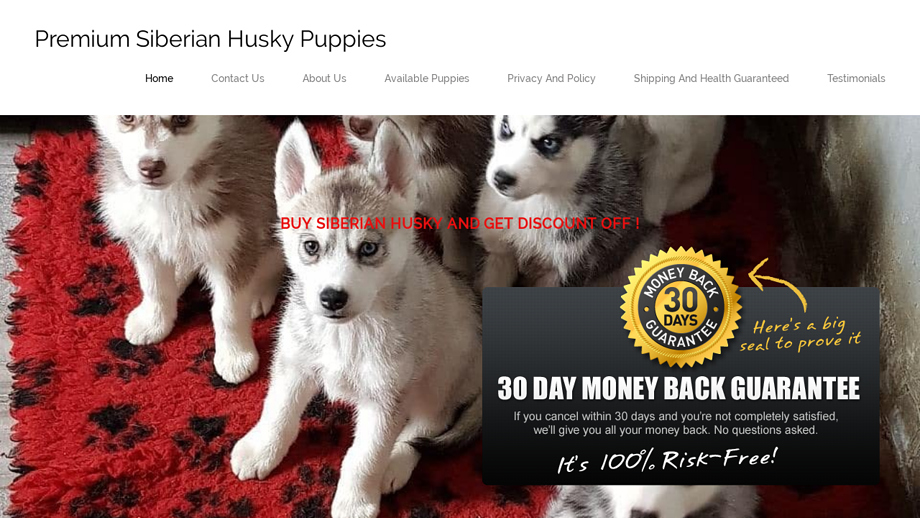 Siberianhuskypupsforsale.com - Husky Puppy Scam Review