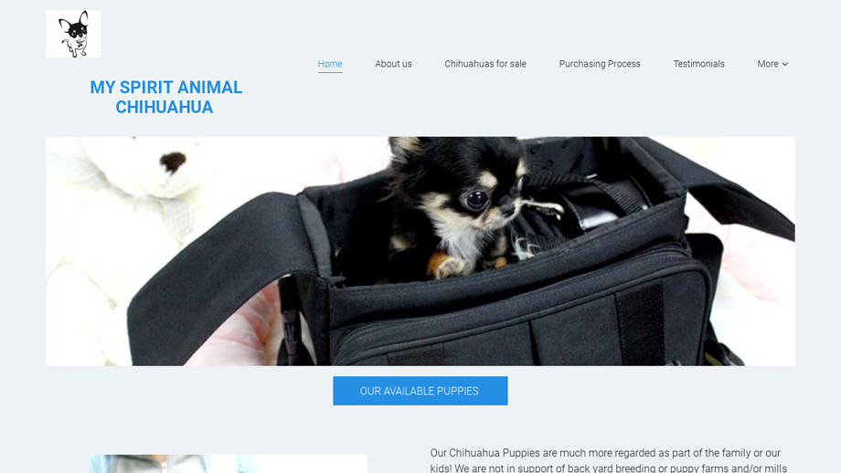 Spiritanimalchihuahua.com - Chihuahua Puppy Scam Review