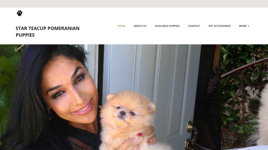 Starteacuppomeranianhome.com - Pomeranian Puppy Scam Review