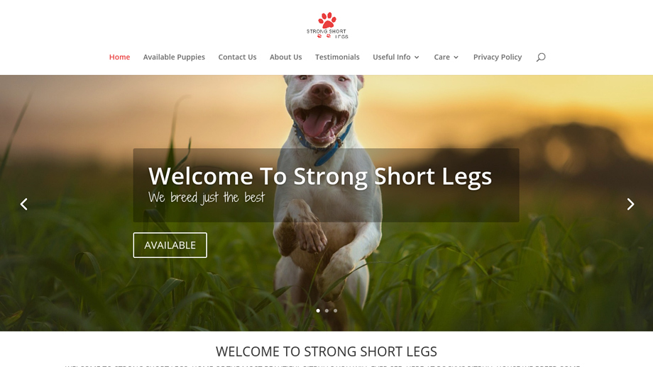 Strongshortlegs.com - Pit Bull Puppy Scam Review