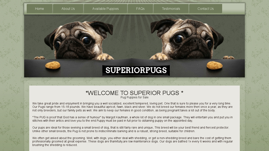 Superiorpugs.com - Pug Puppy Scam Review