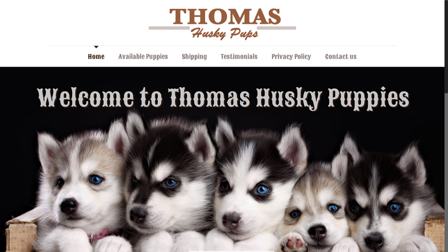 Thomashuskypups.com - Husky Puppy Scam Review