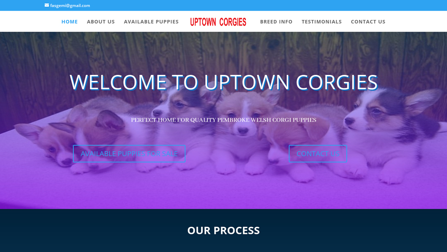 Uptowncorgies.com - Corgi Puppy Scam Review