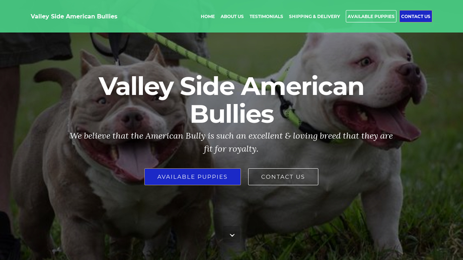 Valleysideamericanbullies.com - Pit Bull Puppy Scam Review