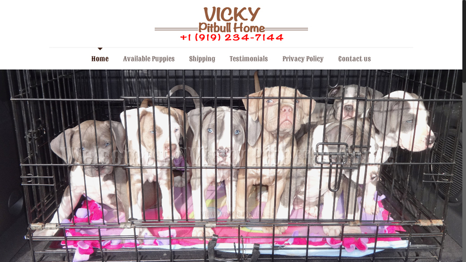 Vickypitbullhome.com - Pit Bull Puppy Scam Review