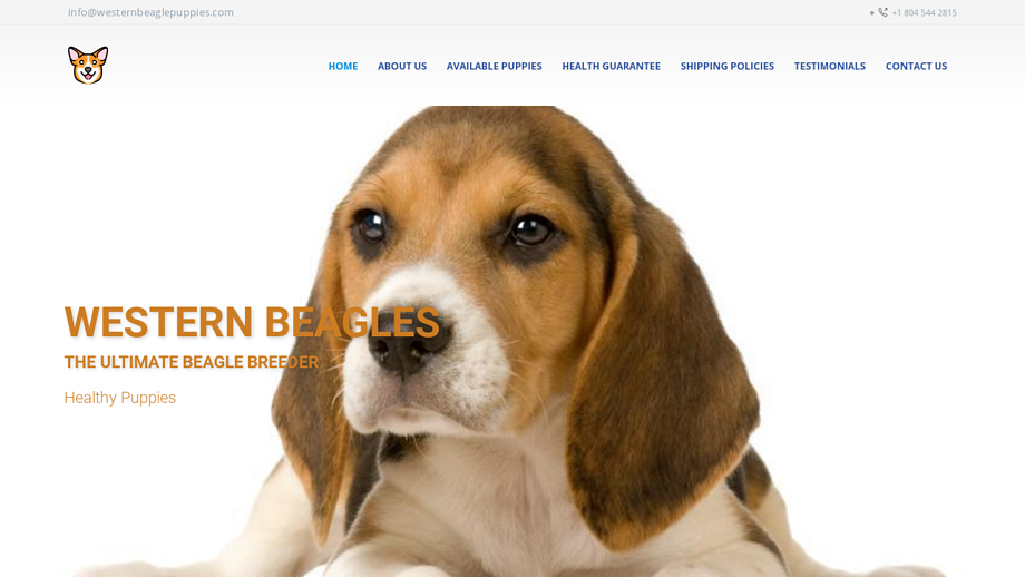 Westernbeaglepuppies.com - Beagle Puppy Scam Review