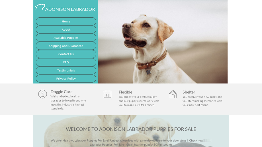 Adonisonlabrador.com - Labrador Puppy Scam Review