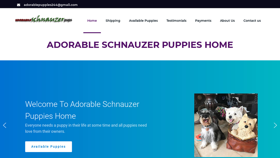 Adorableschnauzerpups.com - Schnauzer Puppy Scam Review