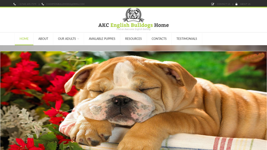 Akcenglishbulldog.com - English Bulldog Puppy Scam Review