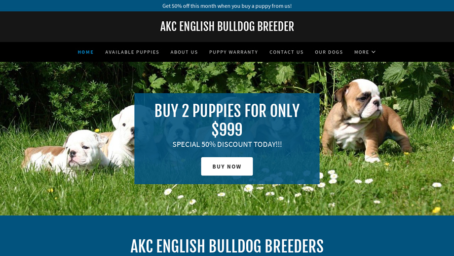 Akcenglishbulldogpuppiesbreeder.club - English Bulldog Puppy Scam Review