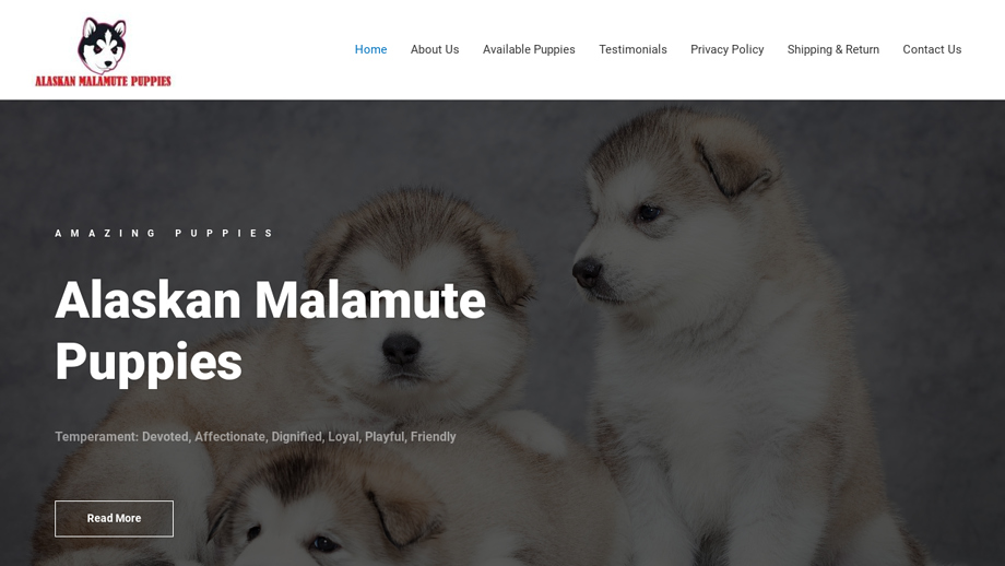 Alaskanmalamute4.com - Malamute Puppy Scam Review