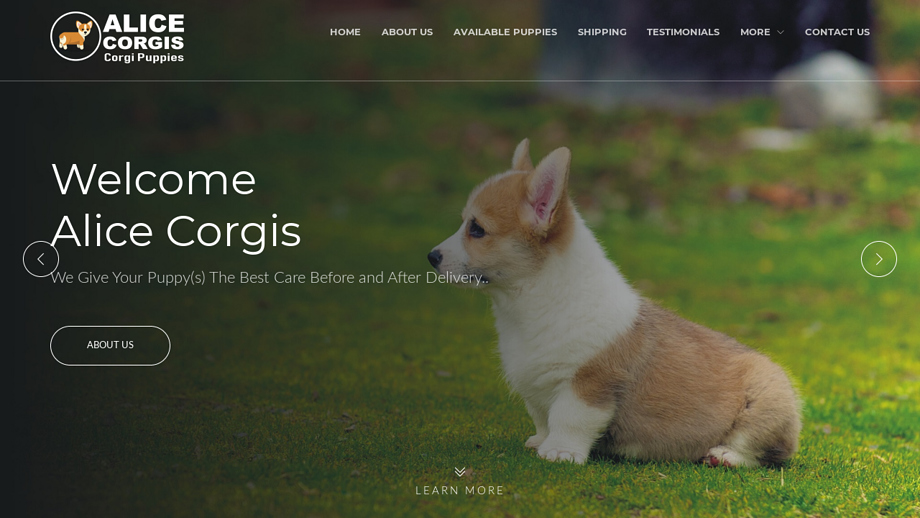 Alicecorgis.com - Corgi Puppy Scam Review