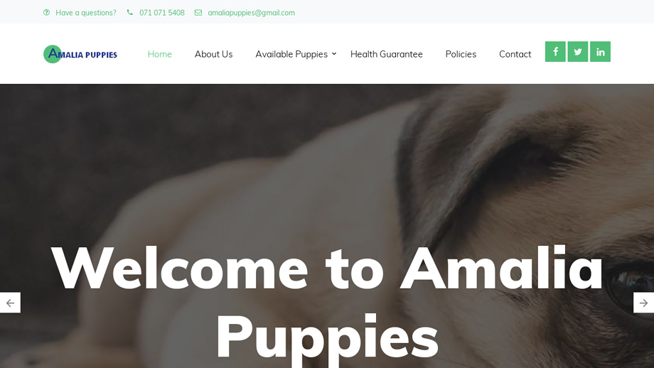 Amaliapuppies.com - Pug Puppy Scam Review