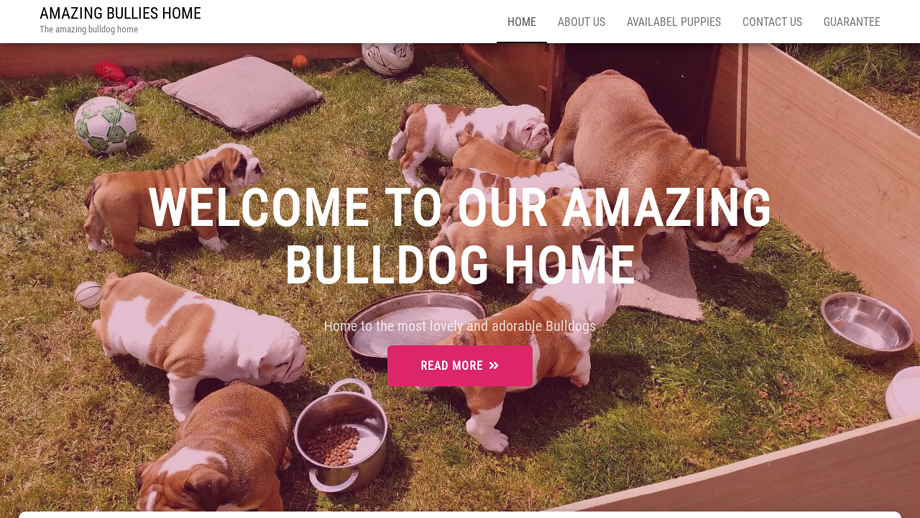 Amazingbullieshome.com - Bulldog Puppy Scam Review