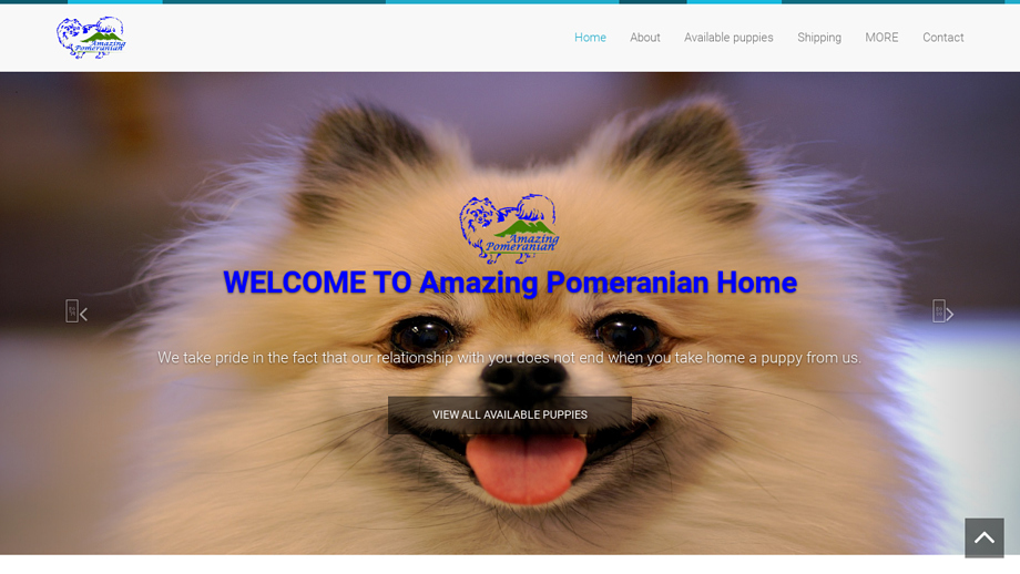 Amazingpoms.com - Pomeranian Puppy Scam Review