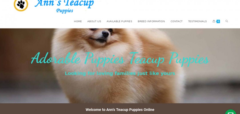 Annteacuppuppies.com - Yorkshire Terrier Puppy Scam Review