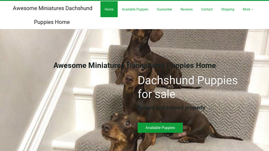 Awesomeminidachshund.com - Dachshund Puppy Scam Review