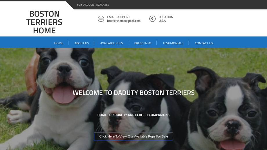 B-terriershome.com - Boston Terrier Puppy Scam Review