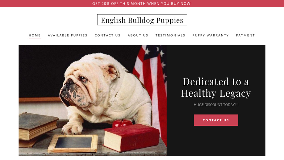 Beautifulbullbabies.com - English Bulldog Puppy Scam Review