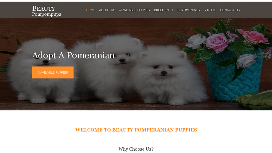 Beautypompompups.com - Pomeranian Puppy Scam Review