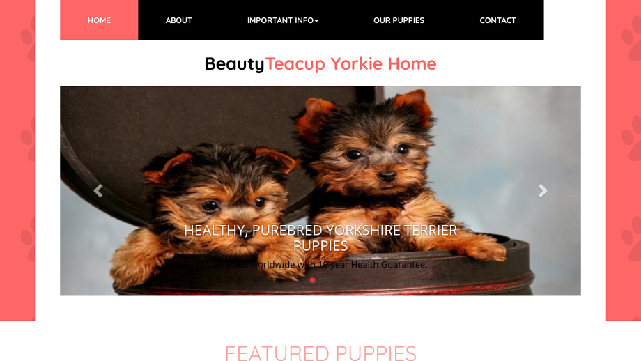 Beautyteacupyorkieome.com - Yorkshire Terrier Puppy Scam Review