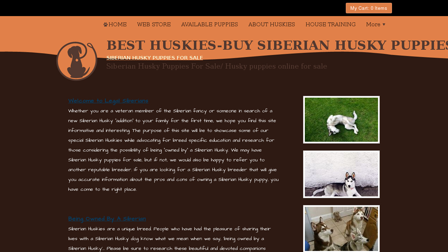 Besthuskies.com - Husky Puppy Scam Review