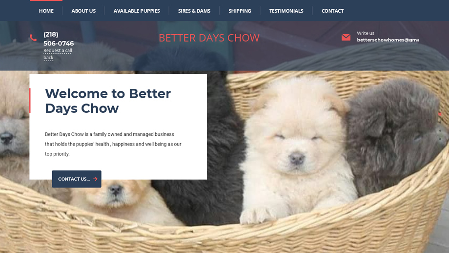 Betterdayschow.com - Chowchow Puppy Scam Review