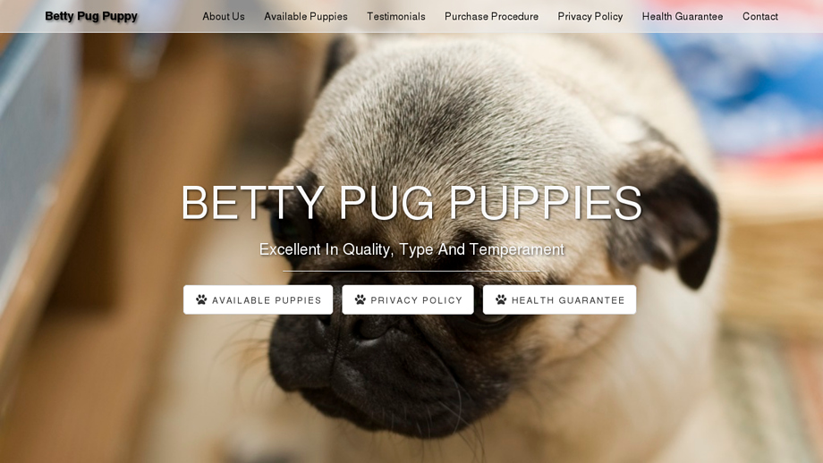 Bettypugpuppys.com - Pug Puppy Scam Review